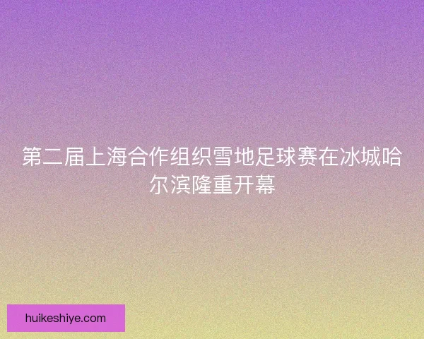 第二届上海合作组织雪地足球赛在冰城哈尔滨隆重开幕